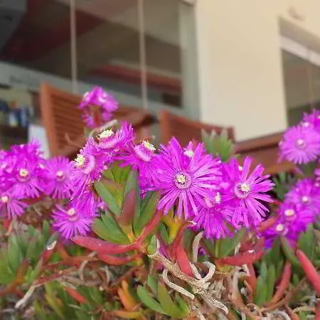 Bright Star Aparthotel 4*