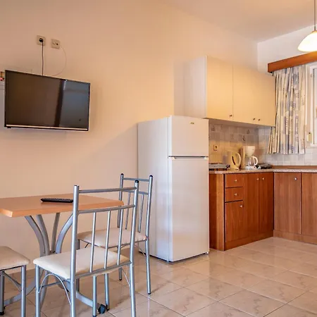 Bright Star 팔리라키