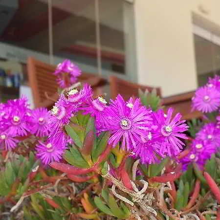 Bright Star Lejlighedshotel