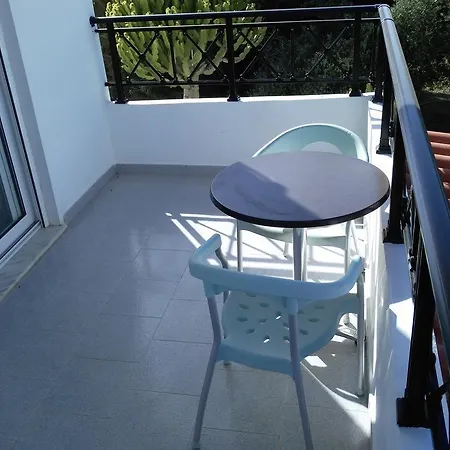 Bright Star 팔리라키