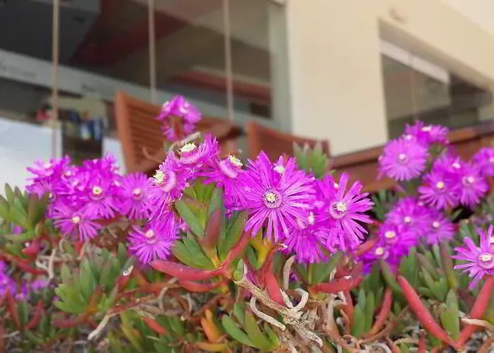 Bright Star Aparthotel 4*